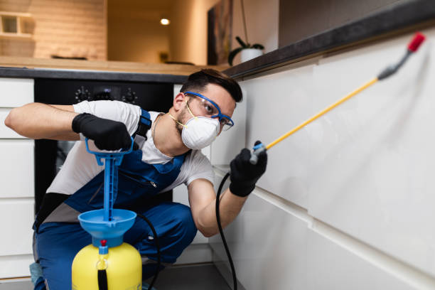 Best Best Pest Control Companies  in Lapeer, MI