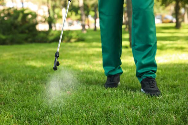 Best Affordable Pest Control Services  in Lapeer, MI