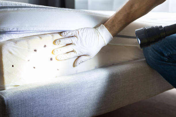 Best Exterminator Services  in Lapeer, MI