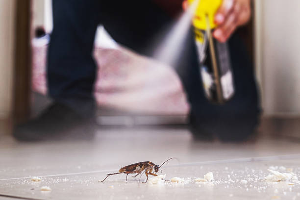 Best Pest Removal Services  in Lapeer, MI